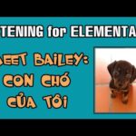 How Many - How Much in Vietnamese the #1 useful phrases 2 Dog in Vietnamese