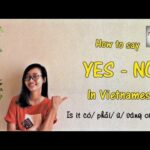 Unlock the 1st challenging Door to Fluency: Study Vietnamese at TVO Vietnamese Language Center's Immersion Program 5 YES/NO in Vietnamese | Learn Vietnamese with TVO