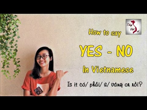 YES/NO in Vietnamese | Learn Vietnamese with TVO 1 YES/NO in Vietnamese | Learn Vietnamese with TVO