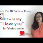 Vietnamese Language Detective 9 Learn Vietnamese with Tieng Viet Oi