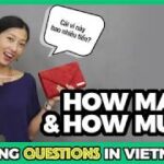 Study Vietnamese in Hanoi: Josh Blaustein's Intensive Course Story 7 Learn Vietnamese with Tieng Viet Oi