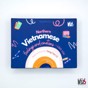 Vietnamese Feelings and Emotions Flashcards